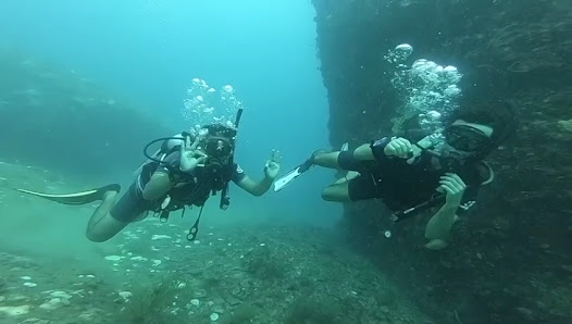 Diving Koh Tao | Scuba Birds PADI Dive Center thumb 4